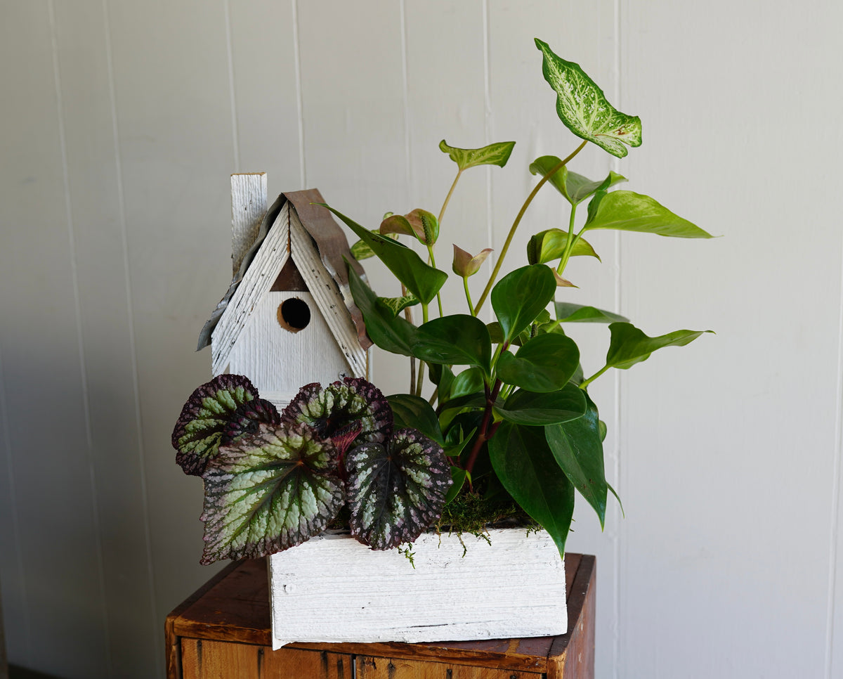 Birdhouse Planter