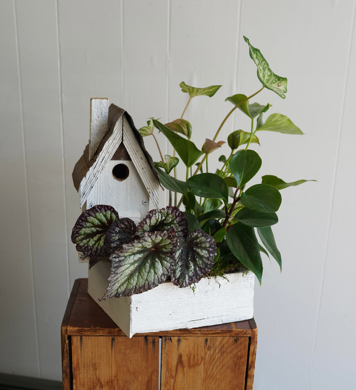 Birdhouse Planter