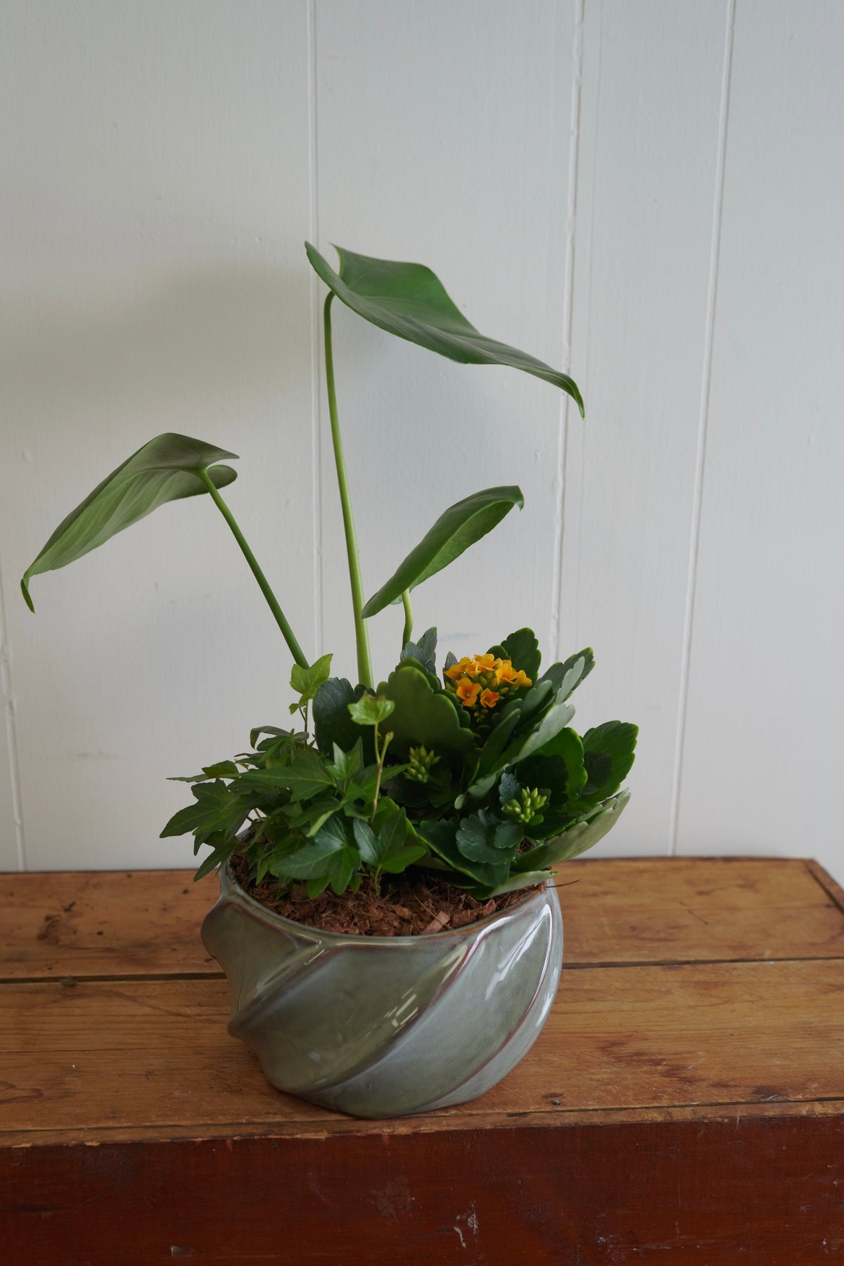 Mixed Tropical Planter