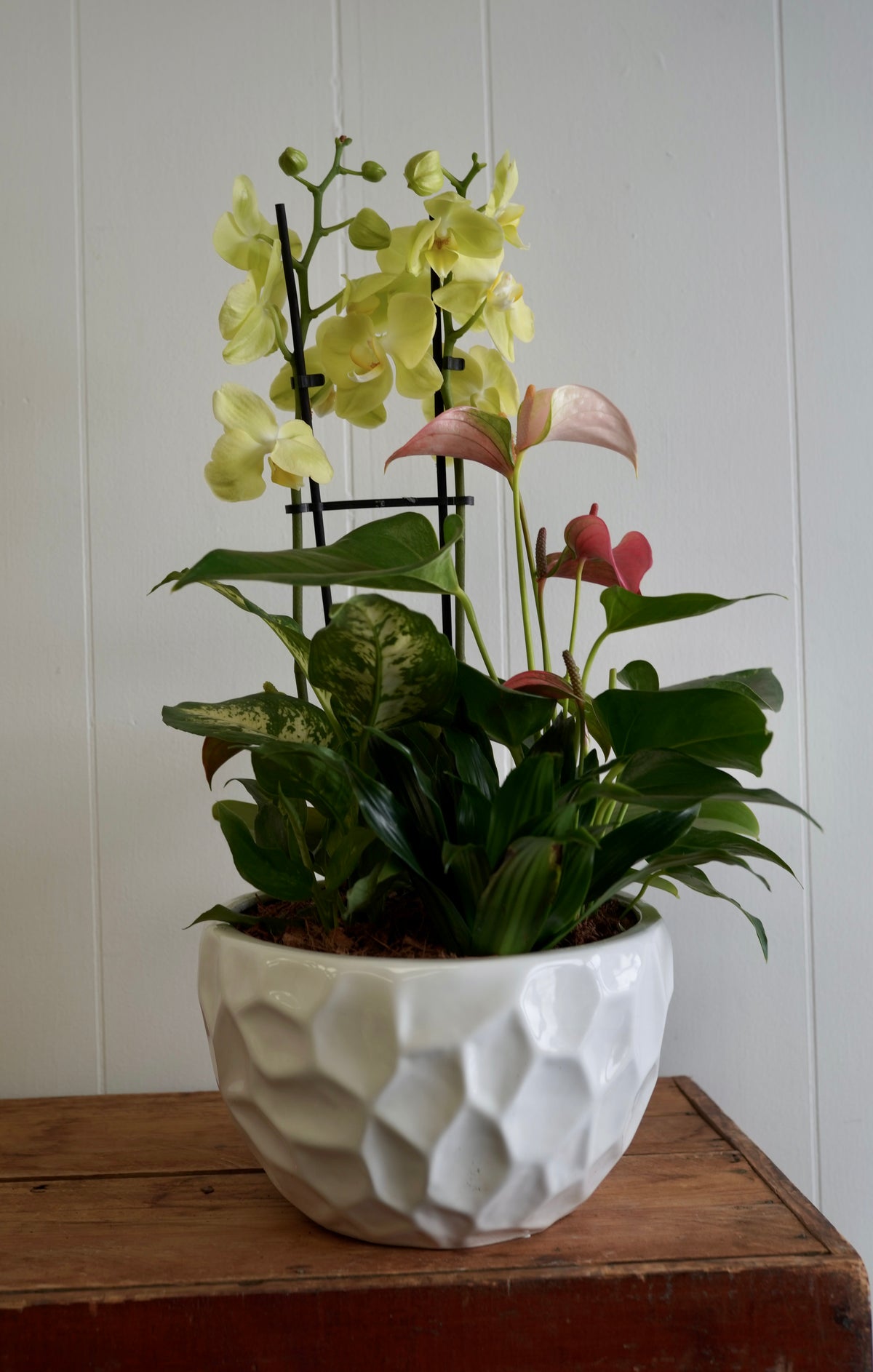 Mixed Tropical Planter