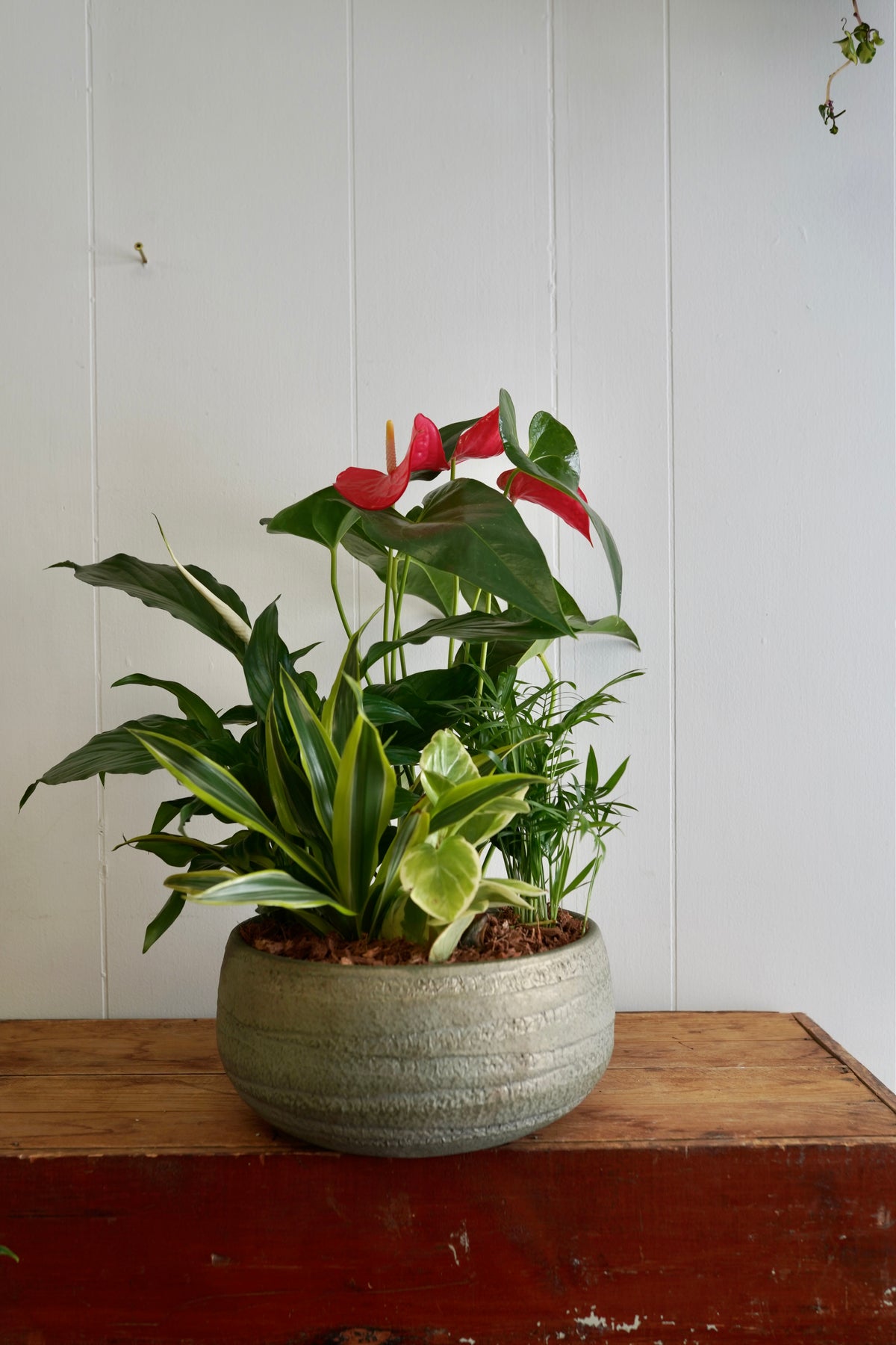 Mixed Tropical Planter