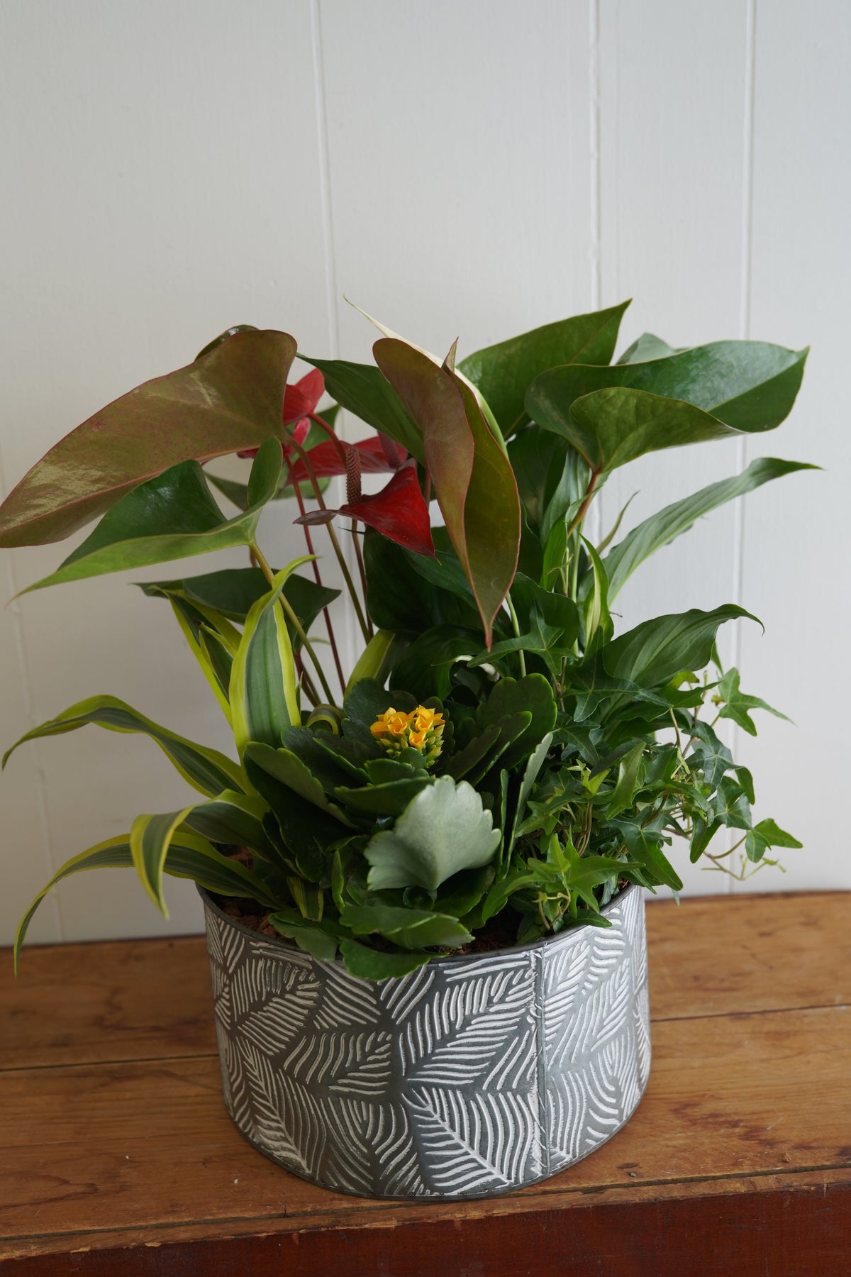 Mixed Tropical Planter