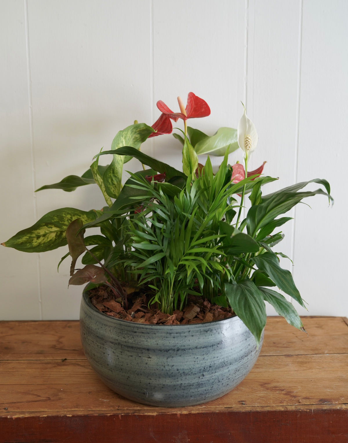 Mixed Tropical Planter