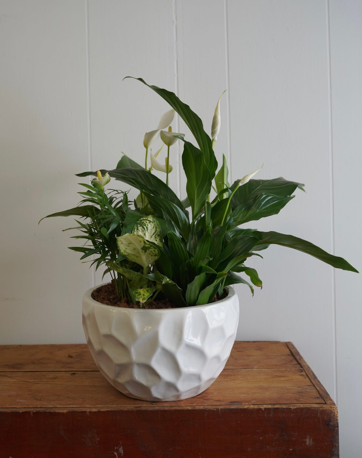 Mixed Tropical Planter