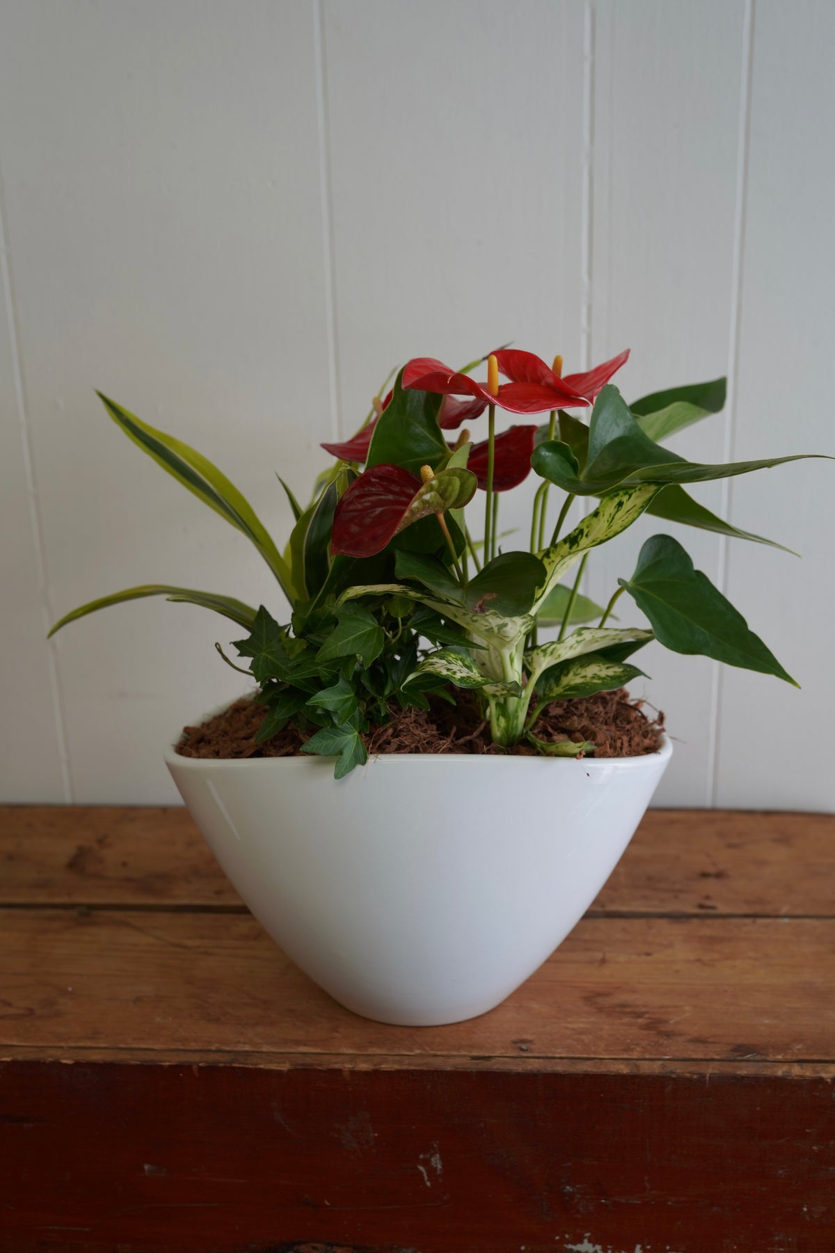 Mixed Tropical Planter